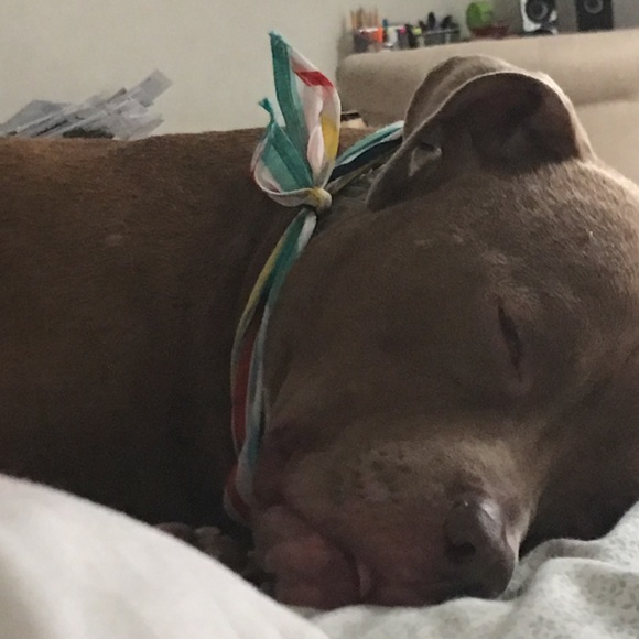 Profile Picture of Triny Alicea-fernandez (@trinyh501) on Poshmark