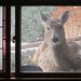 Profile Picture of David Ostlund (@dnsost) on Pinterest