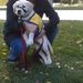 Profile Picture of Heidi Badger-Chrisman (@hchrisman) on Pinterest