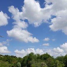 Susannah Cook - Twitter Profile Picture of Susannah Cook (@SusannahCook17) on Twitter