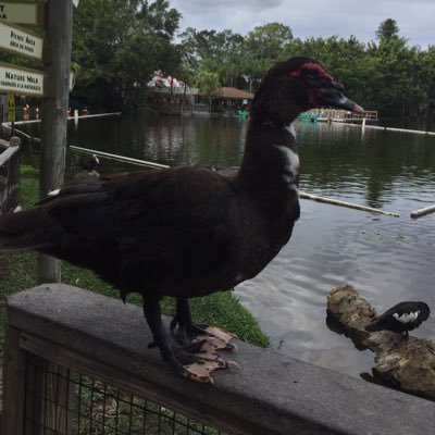 Profile Picture of Garret Boyer (@hometim78125468) on Twitter