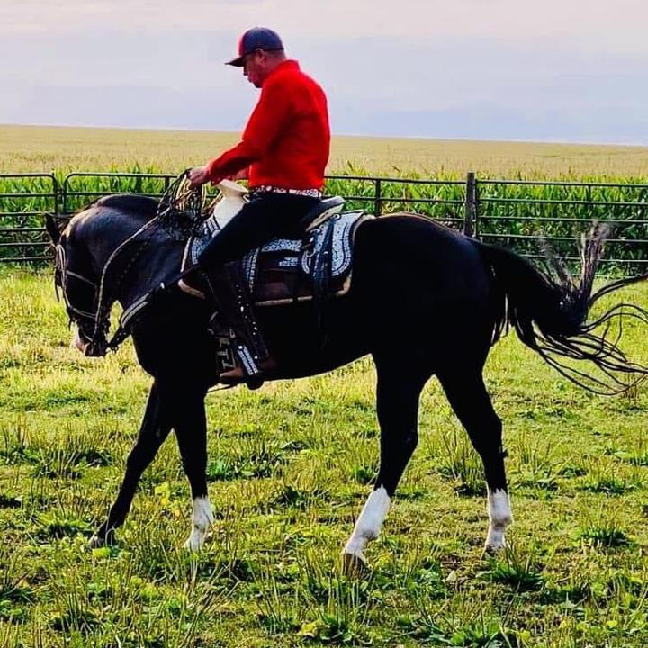 Profile Picture of Jose Barrientos (@jose.barrientos680) on Tiktok