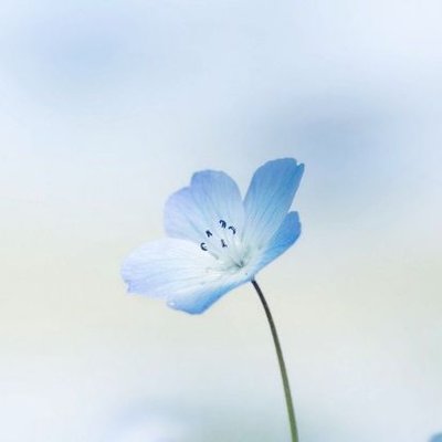 Profile Picture of  💧 DrOp In ThE OcEaN 💧 (@EmJayFreeze) on Twitter