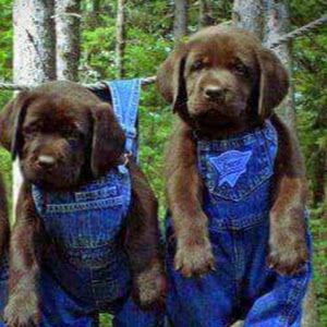 Marsha Fort - Tiktok Profile Picture of Marsha Fort (@marsha.fort) on Tiktok