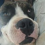 Profile Picture of Matthew Mauricio (@matthew_mmv) on Instagram