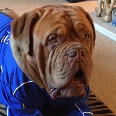 Profile Picture of Rolly Macminn (@rollymacminn) on Twitter