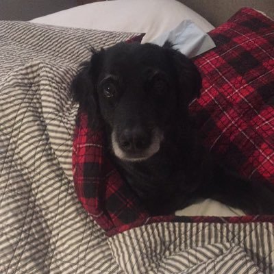 Profile Picture of Erik Beyer (@ErikBeyer5) on Twitter