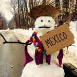 Profile Picture of Lisa Hilton (@hiltonlisa59) on Instagram