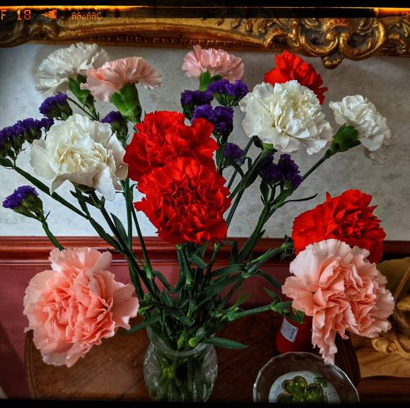 Profile Picture of Nancy m Walcutt (@gnwalc659) on Poshmark