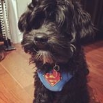 Profile Picture of Redford Knight Cammy (@redfordcammy) on Instagram