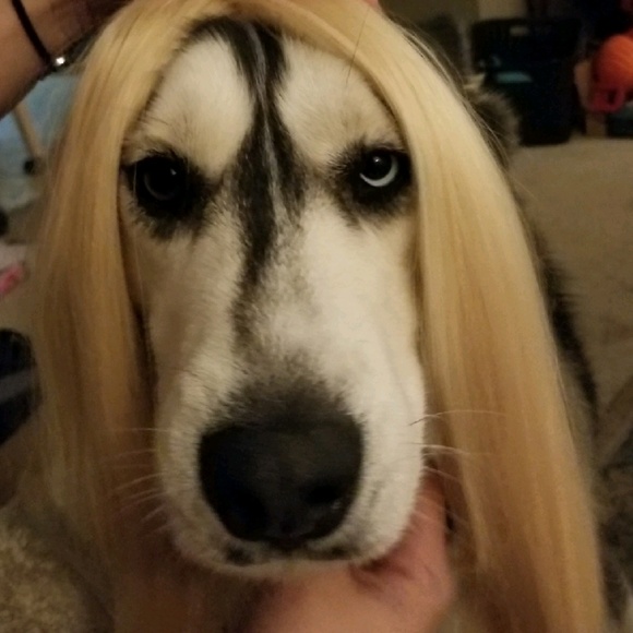 Profile Picture of Alexa Misiolek (@misioleka) on Poshmark