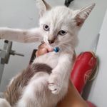 Profile Picture of Bailey B. Barnard (@bailey_barns5) on Instagram