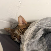 Profile Picture of Kyle Tsai (@kyle-1128) on Youtube