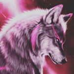 Profile Picture of tomas cardenas (@tomascardenas_03) on Instagram