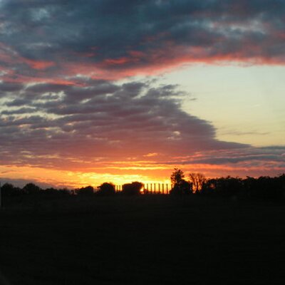 Profile Picture of Bonnie Watts (@Oscar_kel_watts) on Twitter