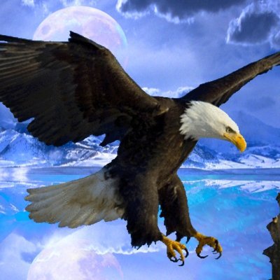 Profile Picture of James A  🧢 (@SaltyCasanova) on Twitter