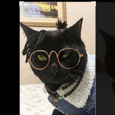 Profile Picture of Kevin White (@bai_huo) on Twitter