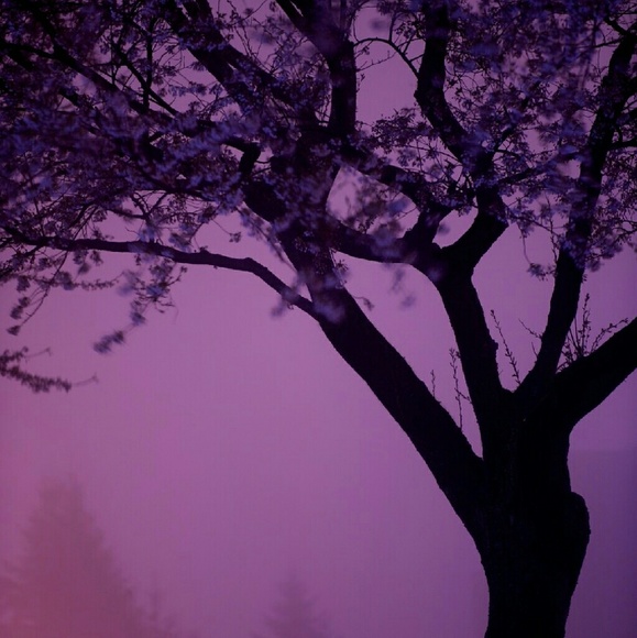 Profile Picture of Shawn Athayde (@smathayde) on Poshmark