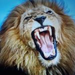 Profile Picture of Leo hunt (@leohunt1881) on Instagram