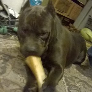 Profile Picture of Daniel Norcross (@370860166) on Myspace