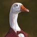 Profile Picture of Derek Hoo (@derekhoo96) on Pinterest