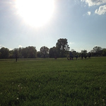 Profile Picture of Amie Wade-keilman (@amiewadekeilman) on Flickr