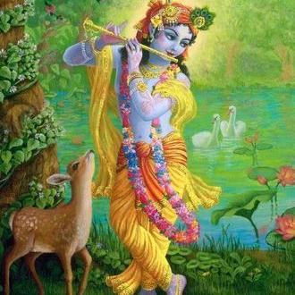 Profile Picture of Ronak Joshi (@ronakpjoshi) on Twitter