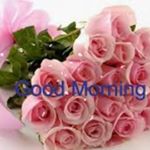 Profile Picture of Eng. Jim Richard (@engjim93) on Instagram