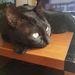 Profile Picture of Boring B (@albertill69) on Pinterest