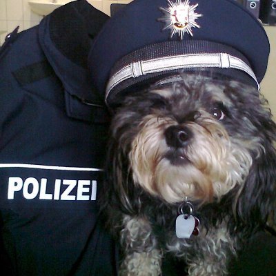 Profile Picture of Regina Lopes Wilhelm (@ichbinregina) on Twitter
