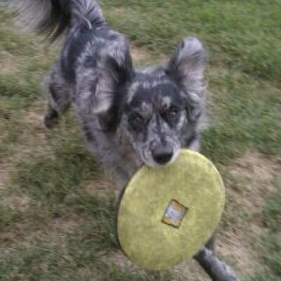 Profile Picture of Eric Layton (@layton28) on Twitter