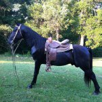 Darrell Prather - Instagram Profile Picture of Darrell Prather (@mrprather503) on Instagram