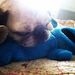 Profile Picture of Iris Goode (@irisgoode) on Pinterest