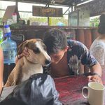 Profile Picture of Camilo Vidal (@juan_vidal007) on Instagram