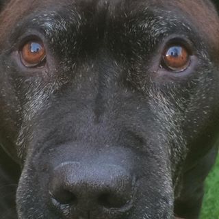 Profile Picture of Bert Baxter (@paul.baxter.5648) on Facebook