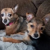 Angie Huttis - Quora Profile Picture of Angie Huttis (@angie-huttis) on Quora