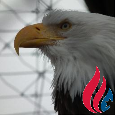 Profile Picture of Kyle Buda Gop (@KYLEBUDAGOP) on Twitter