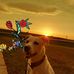 Profile Picture of Kasey Dupree (@kasey.dupree.902) on Facebook