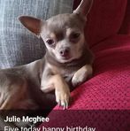 Profile Picture of Julie Mcghee (@julie.mcghee.39) on Facebook