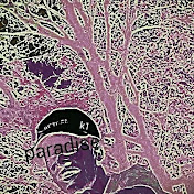 Profile Picture of Kenneth Abernathy (@kennethabernathy3212) on Youtube