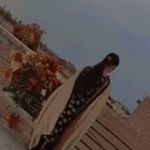 Profile Picture of manpreet sahota (@manpreetsahota6031) on Instagram