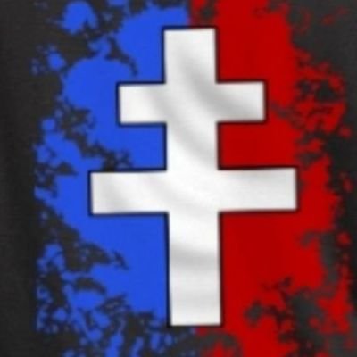 Profile Picture of France Libre🇫🇷 (@PatrioteLibre) on Twitter