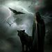 Profile Picture of Jeffery Hammer (@jefferyhammer7) on Pinterest