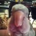 Profile Picture of Kenneth Applegate (@kenneth.applegate.77) on Facebook