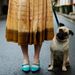 Profile Picture of Katherine English (@pearlthepug) on Pinterest