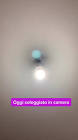 Profile Picture of   Irene D'avino... (@irenedavino) on Tiktok
