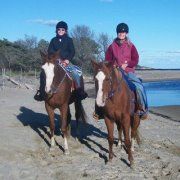 Profile Picture of Cathy Stratton Simmons (@scec23) on Pinterest