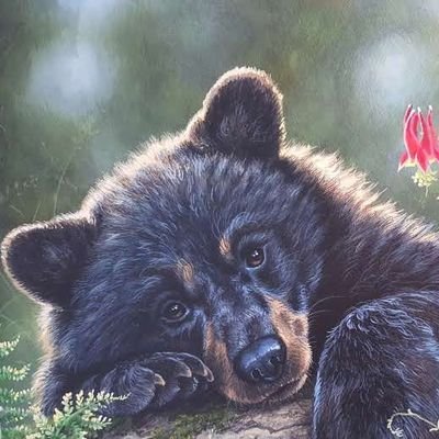 Profile Picture of Michael Vestal (@MichaelVestal10) on Twitter