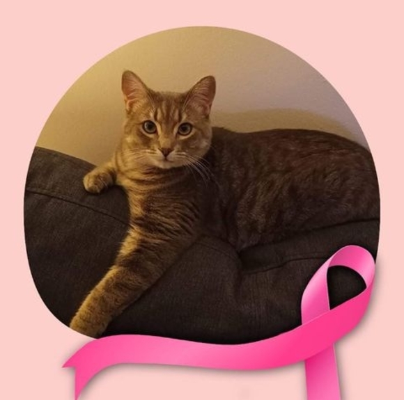 Profile Picture of Marylene Simard (@marylenesimard) on Poshmark
