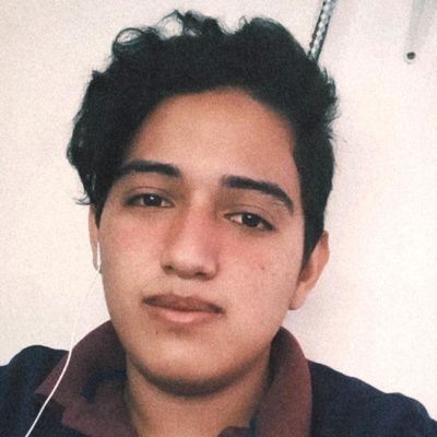 Profile Picture of Michael Alexander Tobar Ibañez (@tobar_ibanez) on Twitter